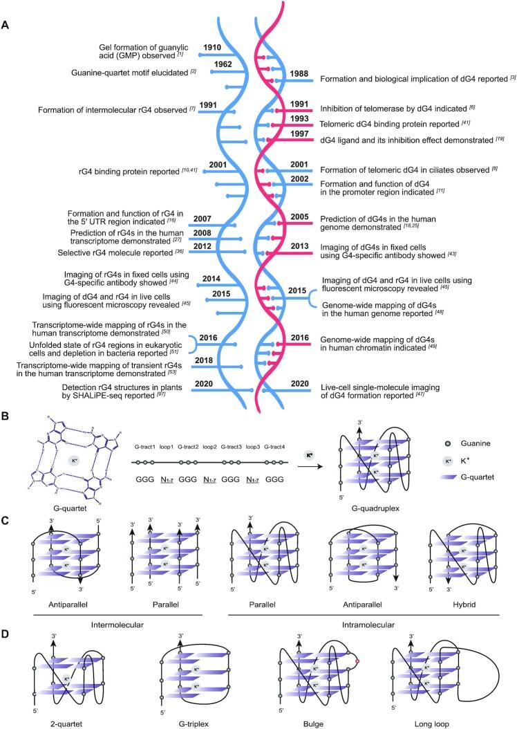 https://cdn.ncbi.nlm.nih.gov/pmc/blobs/3101/8191793/a3f148268874/gkab187fig1.jpg