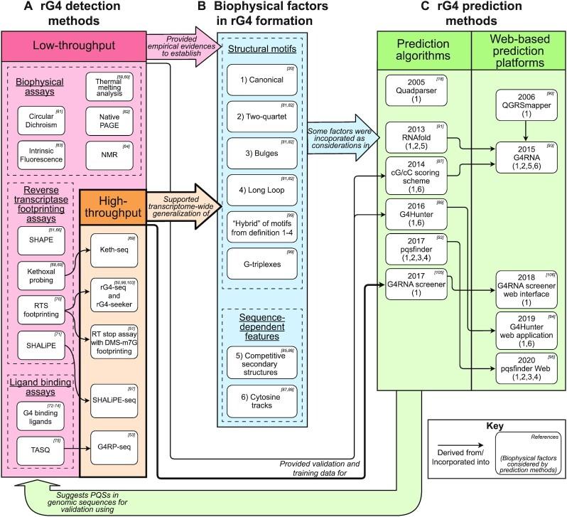 https://cdn.ncbi.nlm.nih.gov/pmc/blobs/3101/8191793/f18658f15931/gkab187fig2.jpg