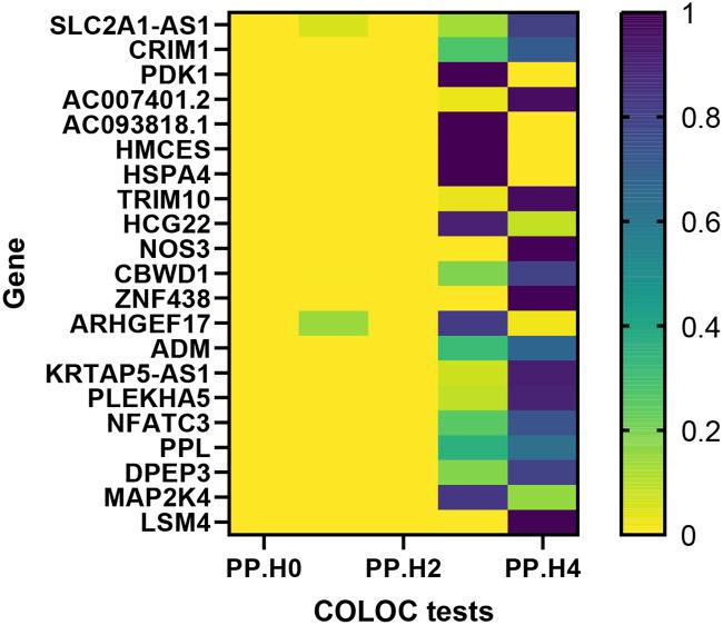 https://cdn.ncbi.nlm.nih.gov/pmc/blobs/3103/11138158/80e1f11257ce/fgene-15-1385293-g003.jpg