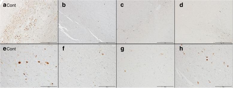 https://cdn.ncbi.nlm.nih.gov/pmc/blobs/3104/6192197/f23716cbd557/40478_2018_617_Fig3_HTML.jpg