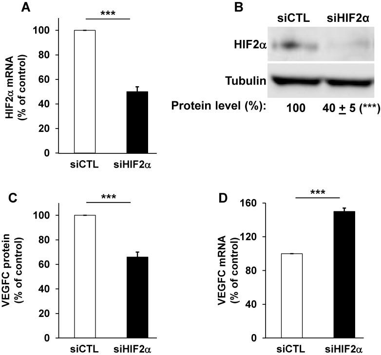 https://cdn.ncbi.nlm.nih.gov/pmc/blobs/3104/6376471/1d5f3598de20/thnov09p0661g001.jpg