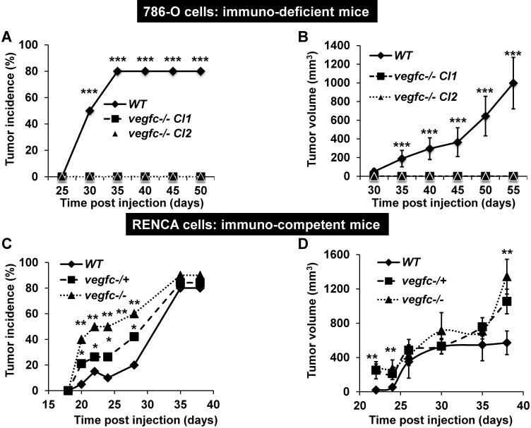 https://cdn.ncbi.nlm.nih.gov/pmc/blobs/3104/6376471/2995b2f24c67/thnov09p0661g005.jpg