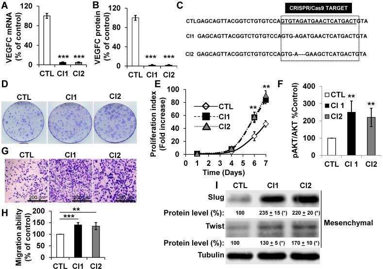 https://cdn.ncbi.nlm.nih.gov/pmc/blobs/3104/6376471/c695f939b1a8/thnov09p0661g004.jpg