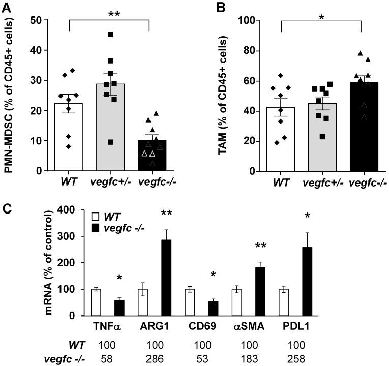 https://cdn.ncbi.nlm.nih.gov/pmc/blobs/3104/6376471/cc2f94a5d19d/thnov09p0661g006.jpg