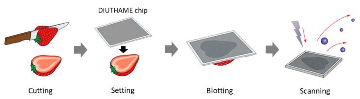 https://cdn.ncbi.nlm.nih.gov/pmc/blobs/3105/7230831/427cca9ec8a3/foods-09-00408-g001.jpg