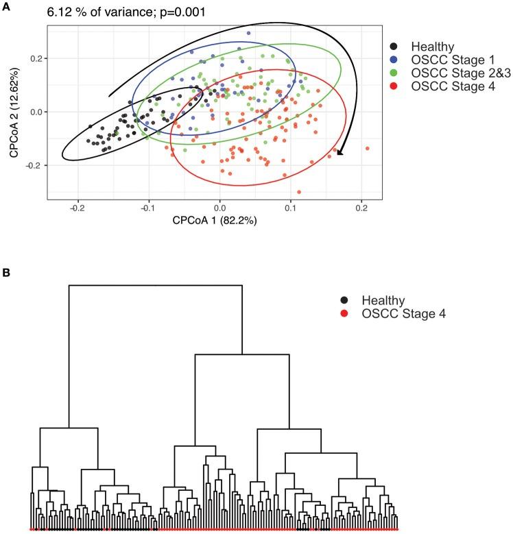 https://cdn.ncbi.nlm.nih.gov/pmc/blobs/3106/5943489/884ccc012ee1/fmicb-09-00862-g0002.jpg