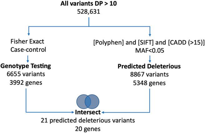 https://cdn.ncbi.nlm.nih.gov/pmc/blobs/3107/9201216/f3b4113b9ea5/fgene-12-765985-g001.jpg