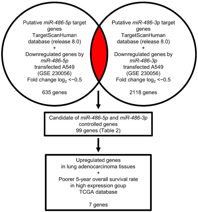 https://cdn.ncbi.nlm.nih.gov/pmc/blobs/3109/10378275/113b124136e9/cells-12-01885-g003.jpg