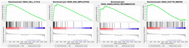 https://cdn.ncbi.nlm.nih.gov/pmc/blobs/3109/10378275/e84c7c1dd865/cells-12-01885-g010.jpg