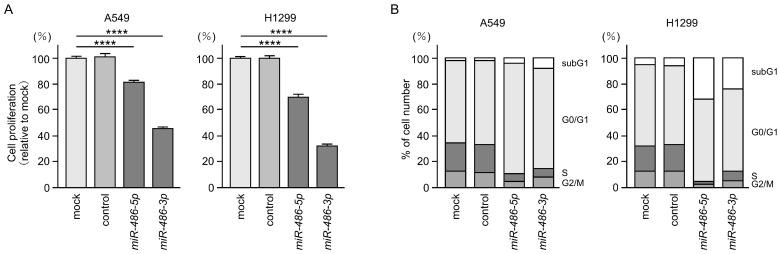 https://cdn.ncbi.nlm.nih.gov/pmc/blobs/3109/10378275/eb0e1e6c35aa/cells-12-01885-g002.jpg