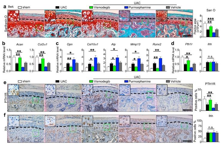 https://cdn.ncbi.nlm.nih.gov/pmc/blobs/310b/6695690/8c580b90680f/ijms-20-03797-g005.jpg