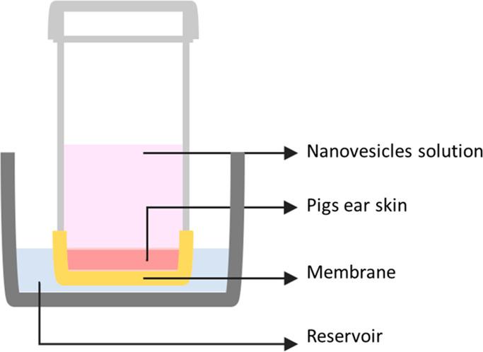 https://cdn.ncbi.nlm.nih.gov/pmc/blobs/310d/10630953/299c364c7491/mp3c00494_0009.jpg