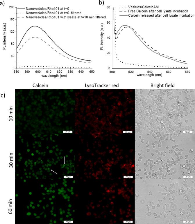 https://cdn.ncbi.nlm.nih.gov/pmc/blobs/310d/10630953/6b15292f908f/mp3c00494_0002.jpg