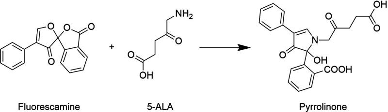 https://cdn.ncbi.nlm.nih.gov/pmc/blobs/310d/10630953/6e95616d4605/mp3c00494_0007.jpg