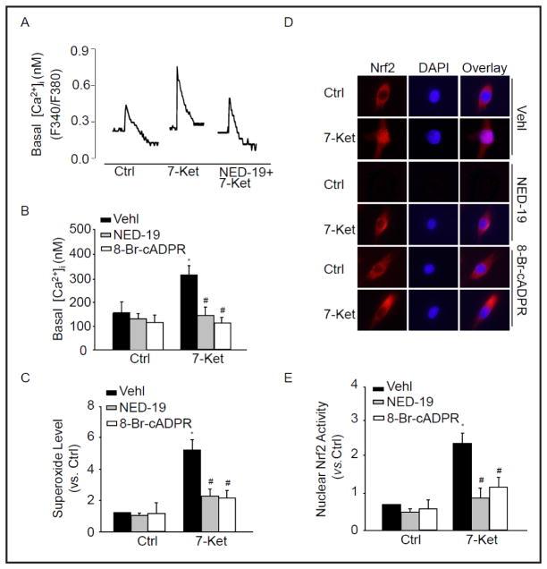 https://cdn.ncbi.nlm.nih.gov/pmc/blobs/310e/4678283/2828ad65eded/nihms742512f7.jpg
