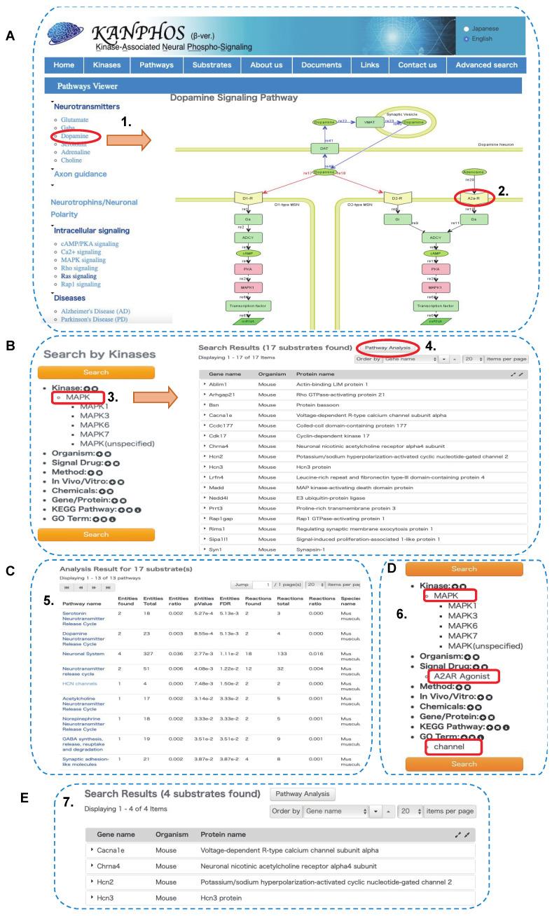 https://cdn.ncbi.nlm.nih.gov/pmc/blobs/310e/8750479/4c1355d2fdbb/cells-11-00047-g007.jpg