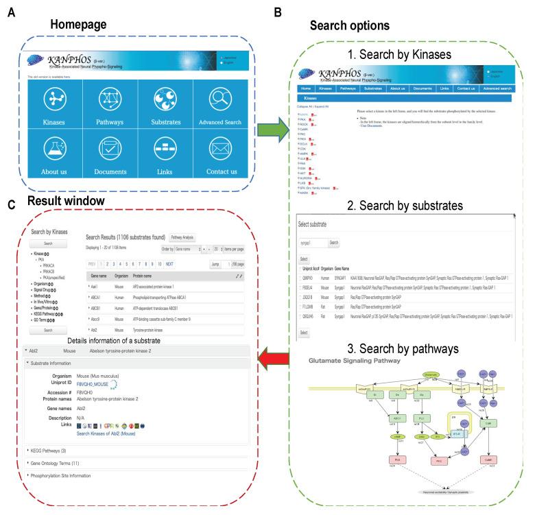 https://cdn.ncbi.nlm.nih.gov/pmc/blobs/310e/8750479/9c1ad9b044de/cells-11-00047-g003.jpg