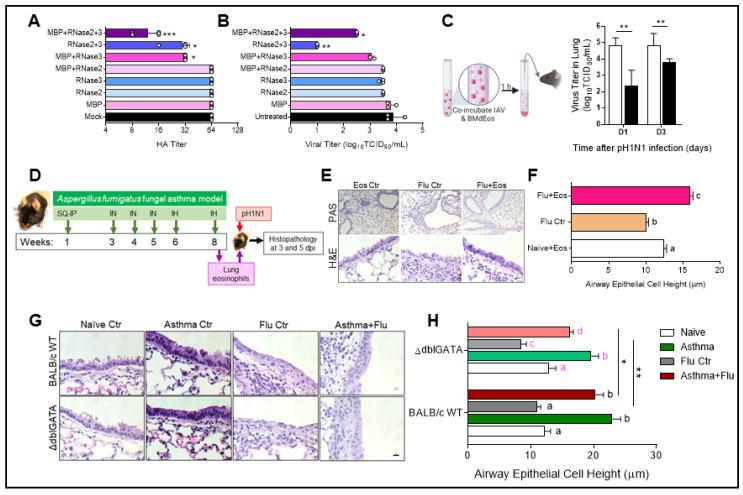 https://cdn.ncbi.nlm.nih.gov/pmc/blobs/3111/7997358/dd621112576e/cells-10-00509-g003.jpg