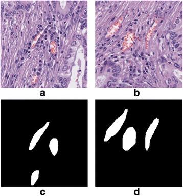 https://cdn.ncbi.nlm.nih.gov/pmc/blobs/3112/5828328/ab5d9aee006a/12859_2018_2055_Fig3_HTML.jpg