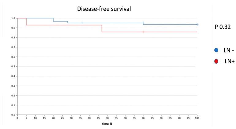 https://cdn.ncbi.nlm.nih.gov/pmc/blobs/3112/8750515/0f1b80dfeb3c/cancers-14-00212-g002.jpg