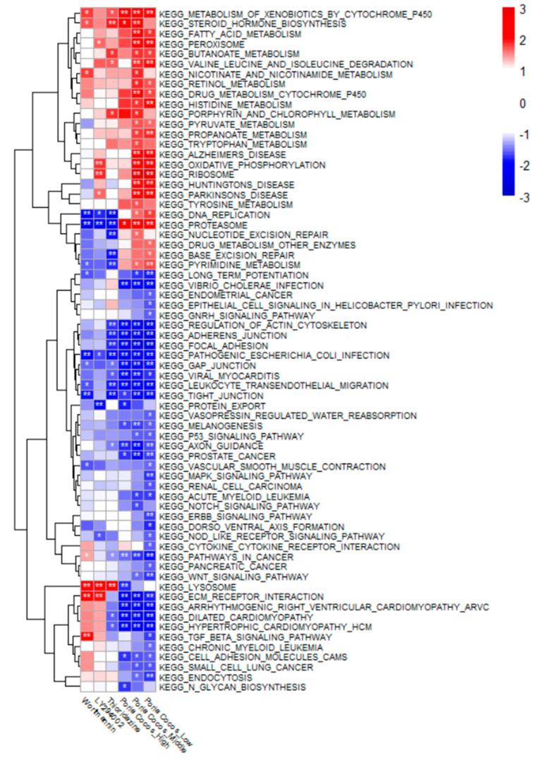 https://cdn.ncbi.nlm.nih.gov/pmc/blobs/3113/11083729/94d7b59a3ae8/ijms-25-04636-g002.jpg