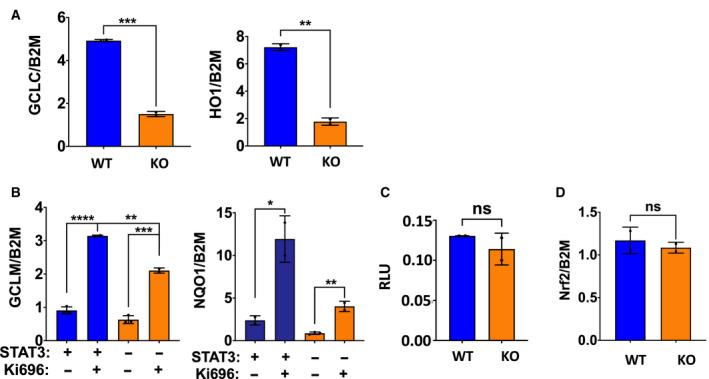 https://cdn.ncbi.nlm.nih.gov/pmc/blobs/3114/8096790/5ada16727e43/MOL2-15-1432-g005.jpg