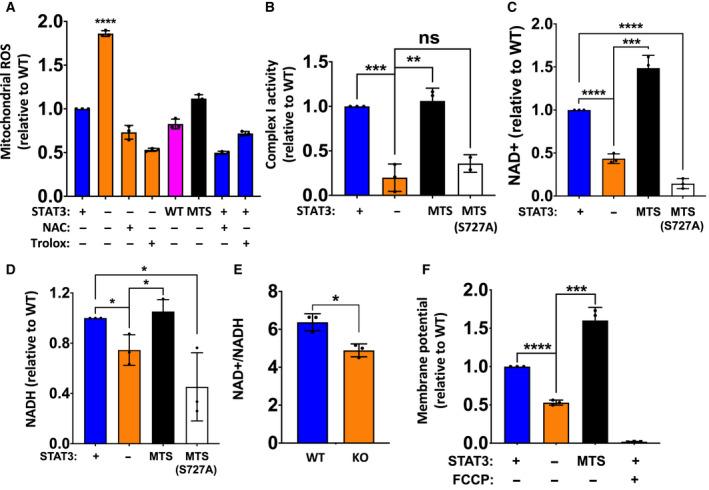 https://cdn.ncbi.nlm.nih.gov/pmc/blobs/3114/8096790/673d8361febf/MOL2-15-1432-g003.jpg
