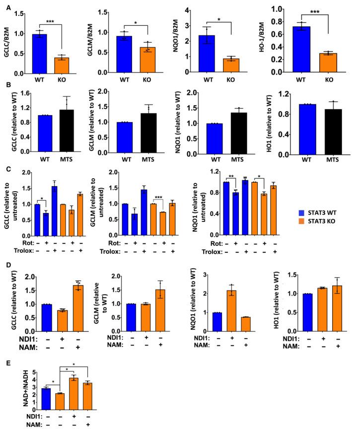 https://cdn.ncbi.nlm.nih.gov/pmc/blobs/3114/8096790/9966b4380515/MOL2-15-1432-g006.jpg