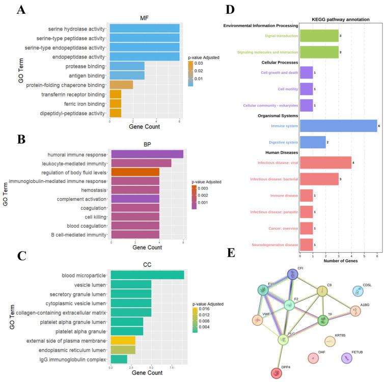https://cdn.ncbi.nlm.nih.gov/pmc/blobs/3115/12347864/11b0990d0334/ijms-26-07640-g005.jpg