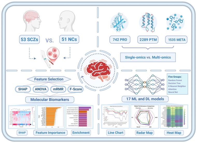 https://cdn.ncbi.nlm.nih.gov/pmc/blobs/3115/12347864/43950c6111a5/ijms-26-07640-g001.jpg