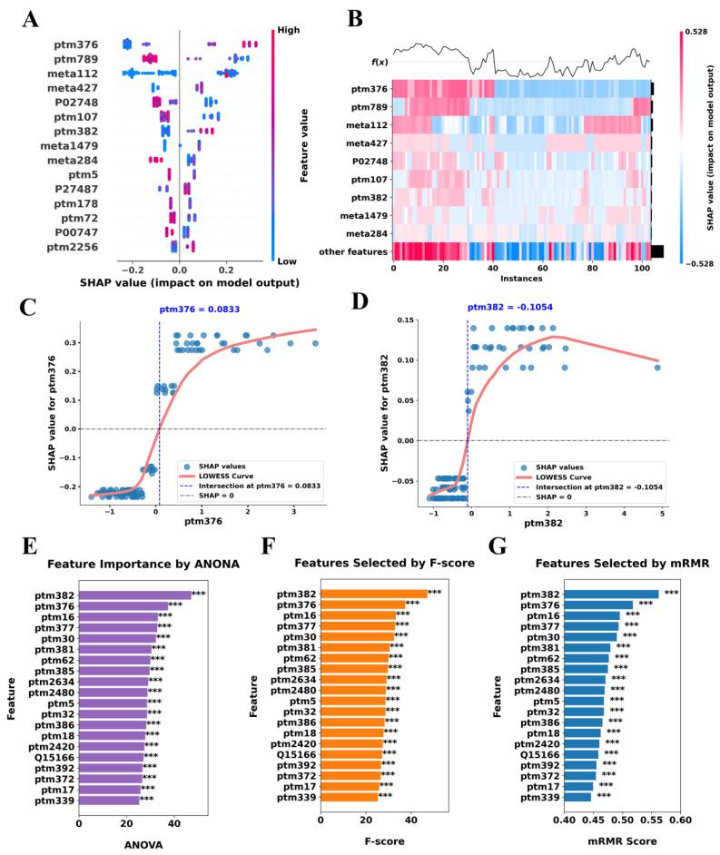 https://cdn.ncbi.nlm.nih.gov/pmc/blobs/3115/12347864/bd05051839ee/ijms-26-07640-g004.jpg