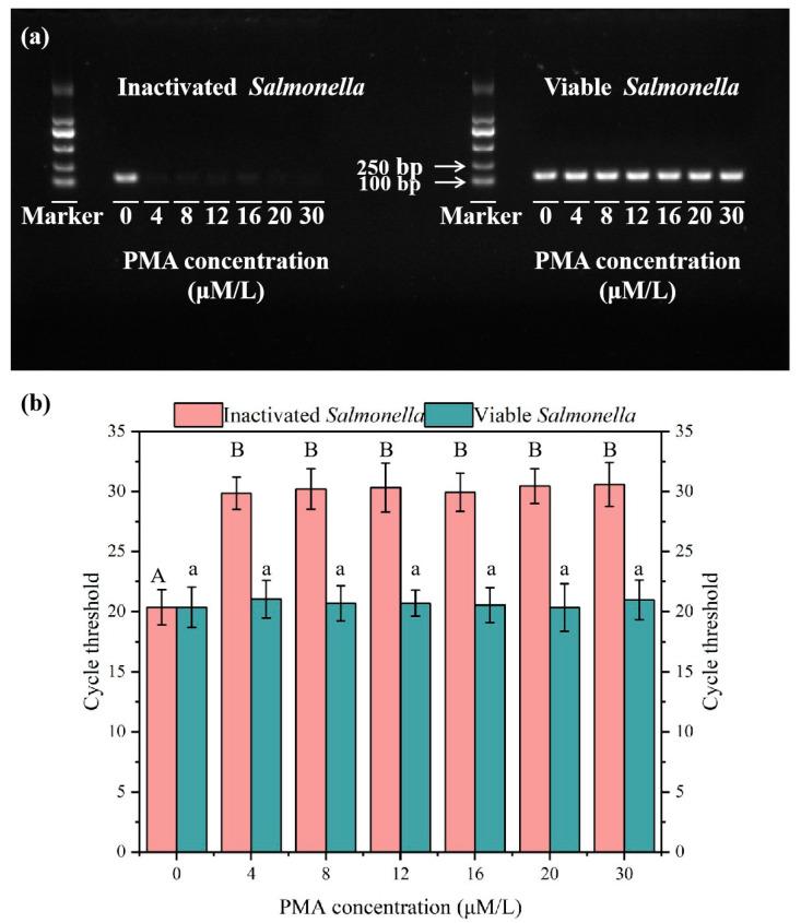https://cdn.ncbi.nlm.nih.gov/pmc/blobs/3116/12114456/00295d58f12a/microorganisms-13-01166-g001.jpg