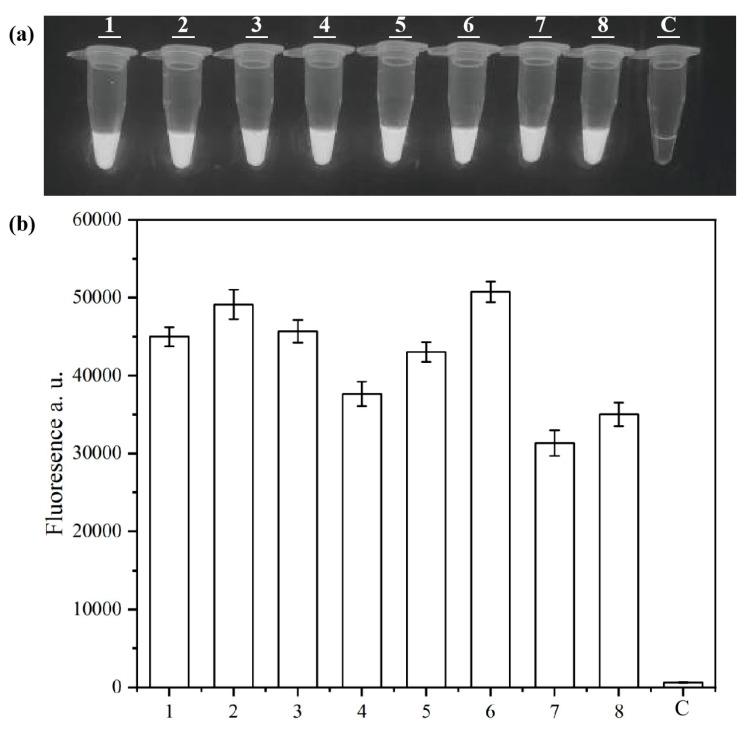 https://cdn.ncbi.nlm.nih.gov/pmc/blobs/3116/12114456/1a0a998c99d9/microorganisms-13-01166-g003.jpg