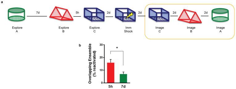 https://cdn.ncbi.nlm.nih.gov/pmc/blobs/3116/5063500/982d0d833012/nihms772721f9.jpg