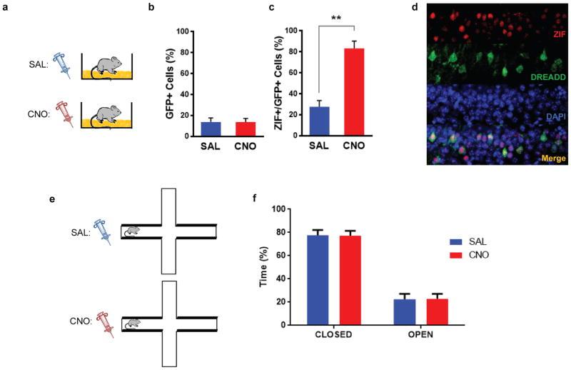 https://cdn.ncbi.nlm.nih.gov/pmc/blobs/3116/5063500/dda4bd86aa3c/nihms772721f14.jpg