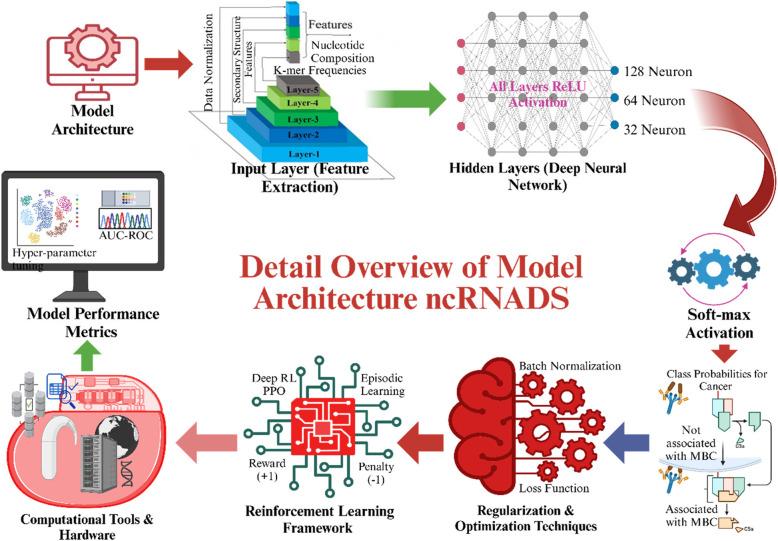 https://cdn.ncbi.nlm.nih.gov/pmc/blobs/3119/12053860/c78a5c934a7b/12885_2025_14113_Fig2_HTML.jpg