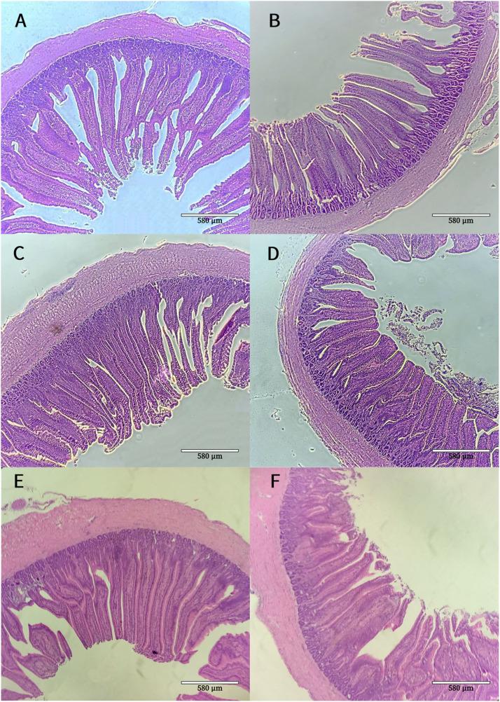https://cdn.ncbi.nlm.nih.gov/pmc/blobs/3119/12141840/889794d5628b/gr1.jpg