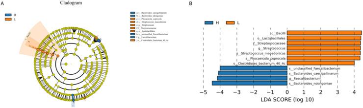 https://cdn.ncbi.nlm.nih.gov/pmc/blobs/3119/12141840/e1ce2a041c91/gr4.jpg