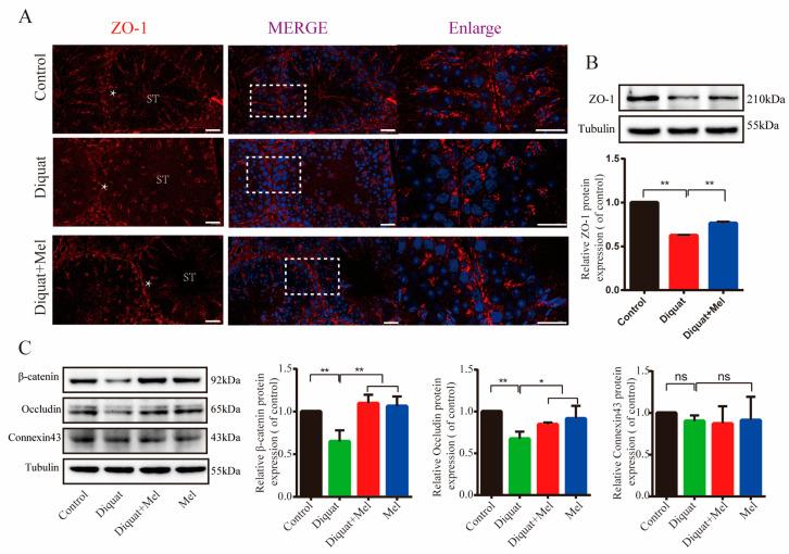 https://cdn.ncbi.nlm.nih.gov/pmc/blobs/311a/9958747/244b1ba8a70d/toxics-11-00160-g004.jpg