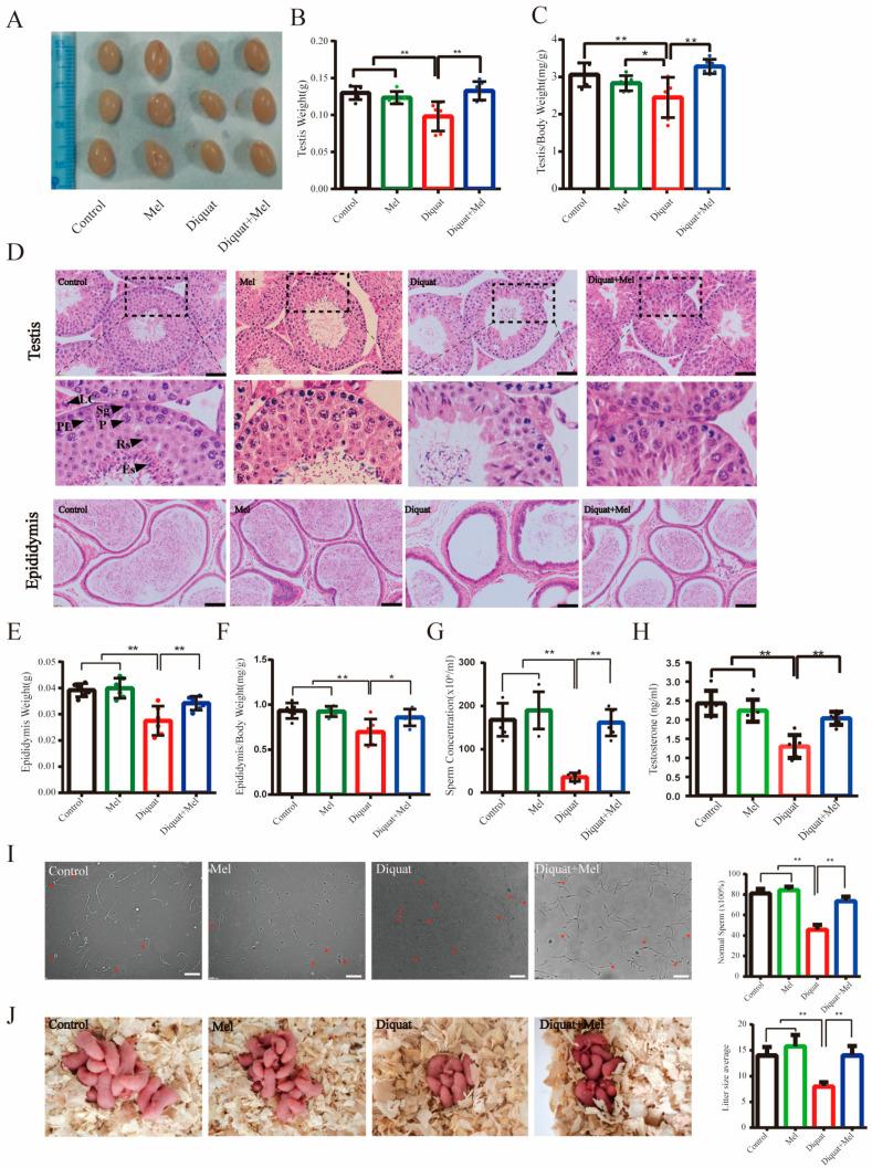 https://cdn.ncbi.nlm.nih.gov/pmc/blobs/311a/9958747/40c0a1f583d8/toxics-11-00160-g001.jpg