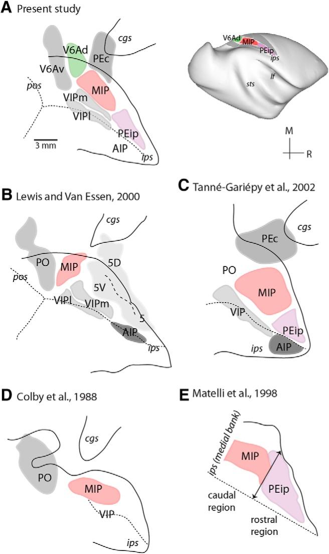 https://cdn.ncbi.nlm.nih.gov/pmc/blobs/311b/5779118/d2af9b934635/enu0061724680002.jpg