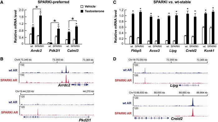 https://cdn.ncbi.nlm.nih.gov/pmc/blobs/311d/3985627/a42986e9a294/gkt1401f6p.jpg