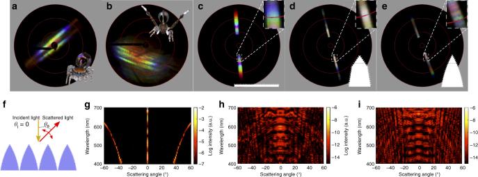 https://cdn.ncbi.nlm.nih.gov/pmc/blobs/3120/5741626/dbdd88903666/41467_2017_2451_Fig6_HTML.jpg