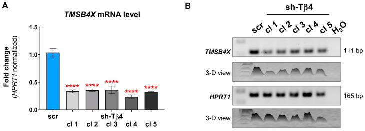 https://cdn.ncbi.nlm.nih.gov/pmc/blobs/3122/8067020/59c8ecd56b26/cells-10-00769-g001.jpg