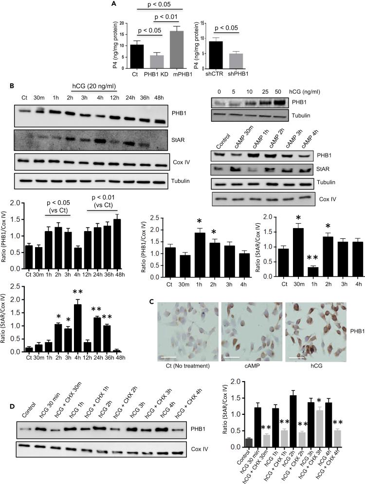 https://cdn.ncbi.nlm.nih.gov/pmc/blobs/3122/9010647/a9cd1896a18a/gr2.jpg