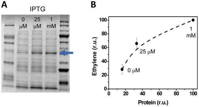 https://cdn.ncbi.nlm.nih.gov/pmc/blobs/3123/3503970/65036719252c/pone.0050470.g002.jpg