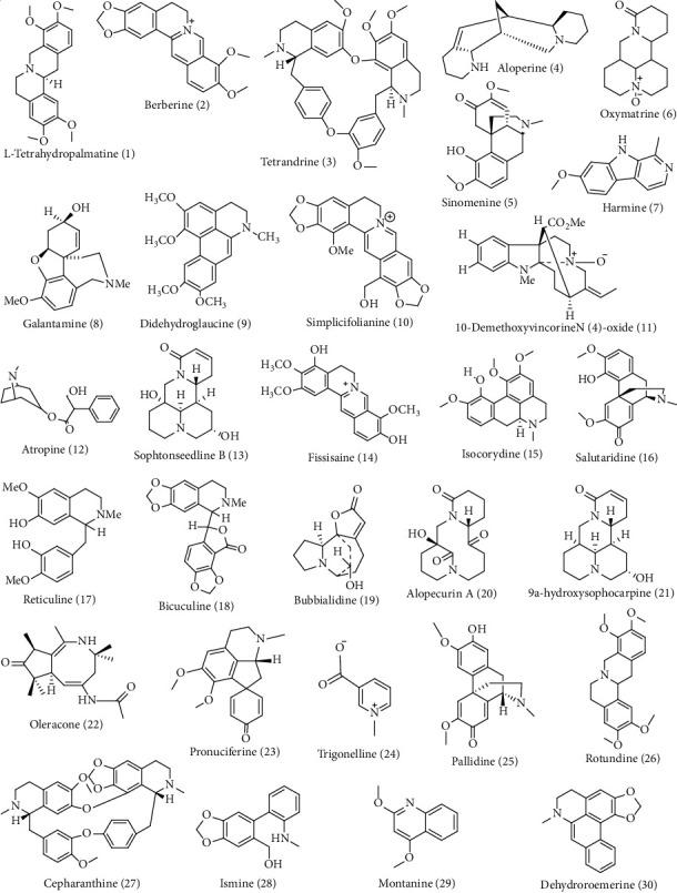 https://cdn.ncbi.nlm.nih.gov/pmc/blobs/3123/8926539/676627a3cccc/ECAM2022-7299778.005.jpg