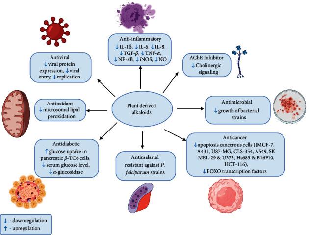 https://cdn.ncbi.nlm.nih.gov/pmc/blobs/3123/8926539/a43c954b77f9/ECAM2022-7299778.006.jpg