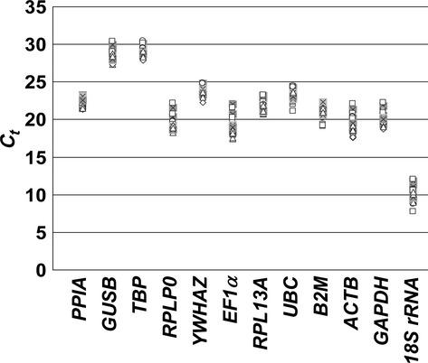 https://cdn.ncbi.nlm.nih.gov/pmc/blobs/3125/3823147/4b10f8422c73/jcmm0017-0168-f3.jpg