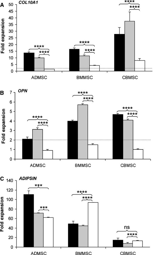 https://cdn.ncbi.nlm.nih.gov/pmc/blobs/3125/3823147/bca00f1f1ae7/jcmm0017-0168-f8.jpg